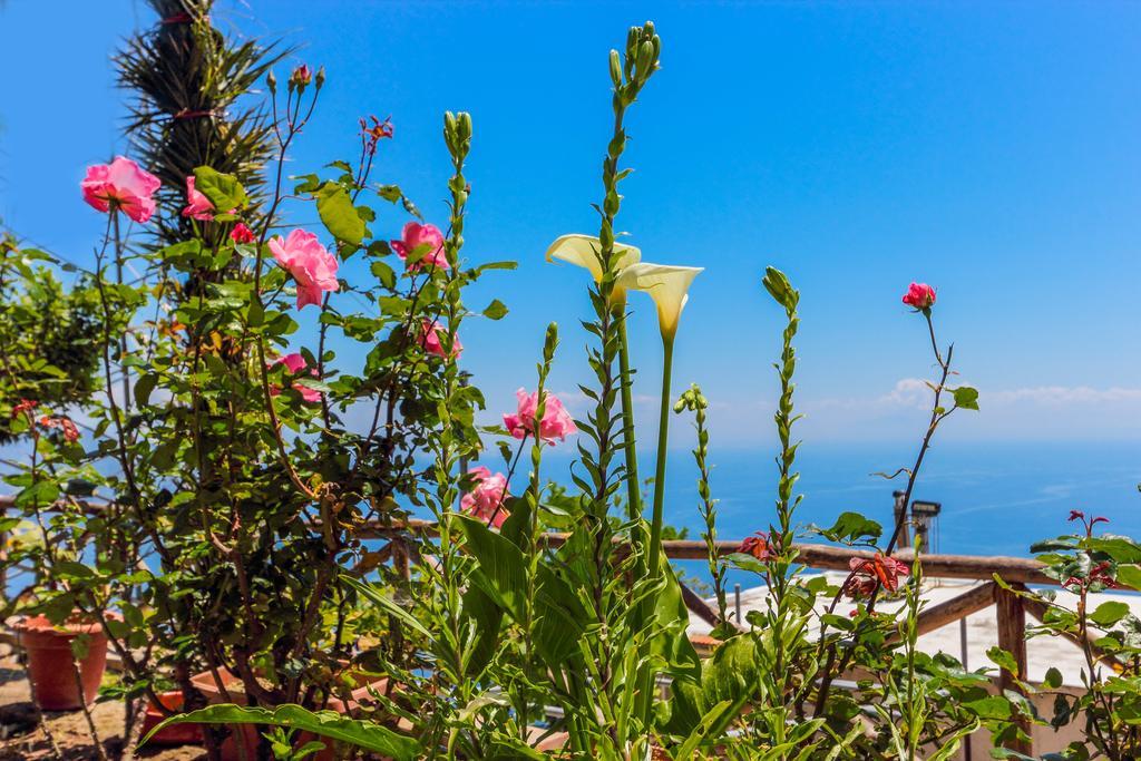 Villa Matilde Amalfi Exterior foto